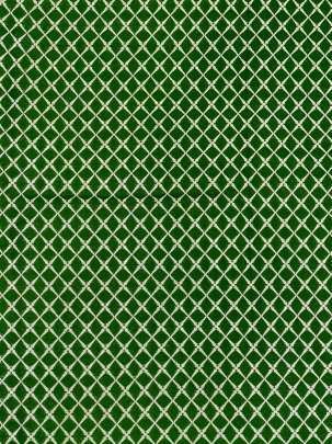 Banarasi Chiniya Silk Mahendi Green/ Pure Banarasi fabrics