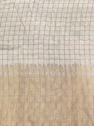 Banarasi Munga Silk With Daman ( Dyeable )/ Banarasi dyeable fabrics