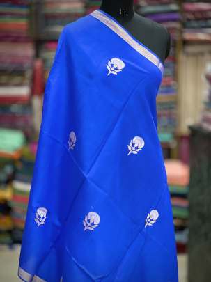 Munga silk duppata with water gold & golden Banarasi butta - Royal blue/ Banarasi Duppatas 