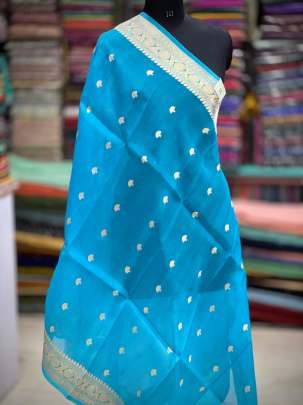 Organza duppata with golden zari butti - Sky blue/ Banarasi Duppatas 