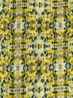 Printed Chiniya Silk With Banarasi Butti Yellow/ Pure Banarasi fabrics