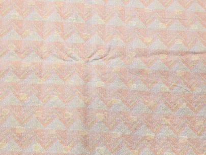 Printed munga silk embroidery fabric - Light Peach/ Banarasi Work