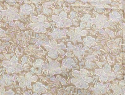 Printed munga silk embroidery fabric - Light Brown/ Banarasi Work