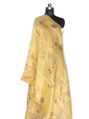 Printed organza tissue duppata/ Banarasi Duppatas 