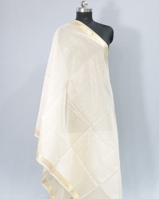 Tissue organza duppata/ Banarasi Duppatas 