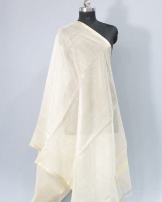 Tissue organza with banarasi work duppata/ 