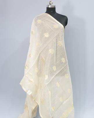 Tissue organza with banarasi work duppata/