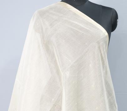 Tissue organza with banarasi work duppata/ Banarasi Duppatas 