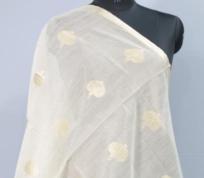 Tissue organza with banarasi work duppata/ Banarasi Duppatas 